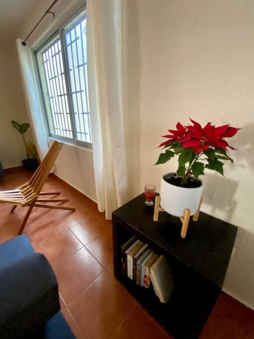 Peach35 Apartamento Centrico, 5 Min De La Playa Cancun Bagian luar foto